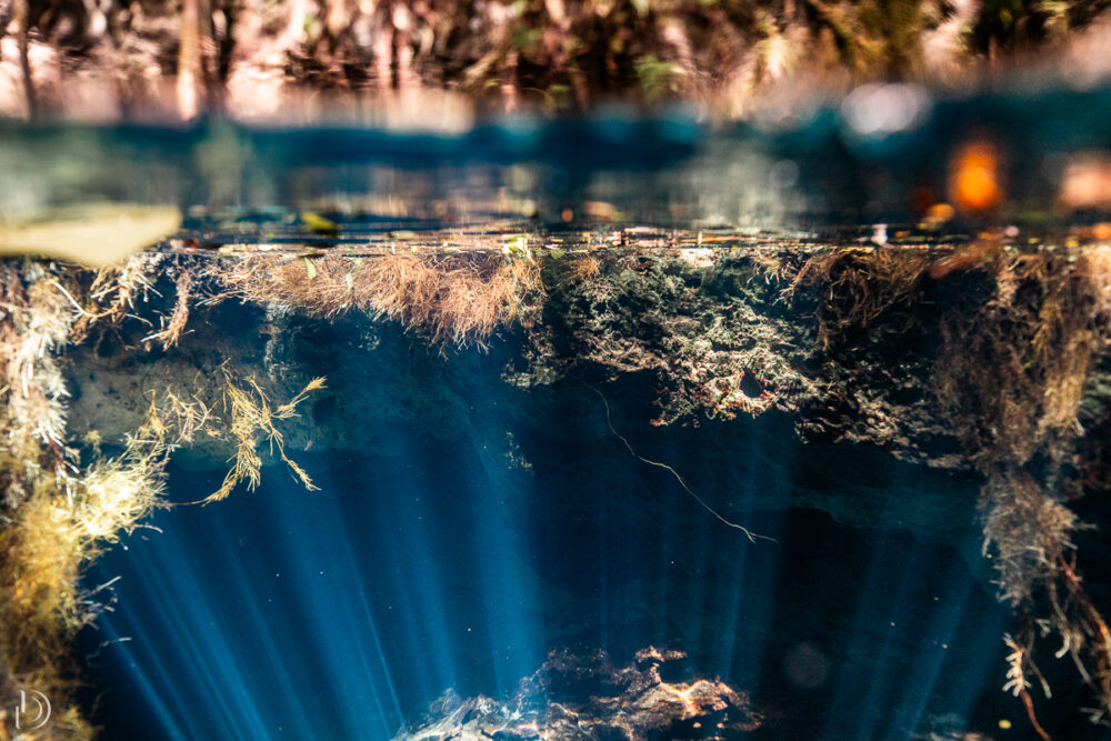 Cenote Mexique